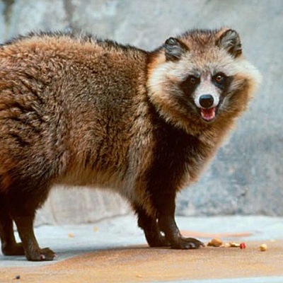 Timeline: Important Dates in Space Ex History