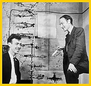 Descubrimiento de la estructura del ADN