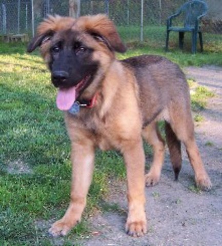 Personality: My new best friend!