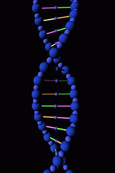 Doble Hélice del ADN