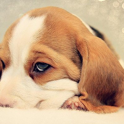 Timeline: История развития депрессии