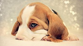 Timeline: История развития депрессии