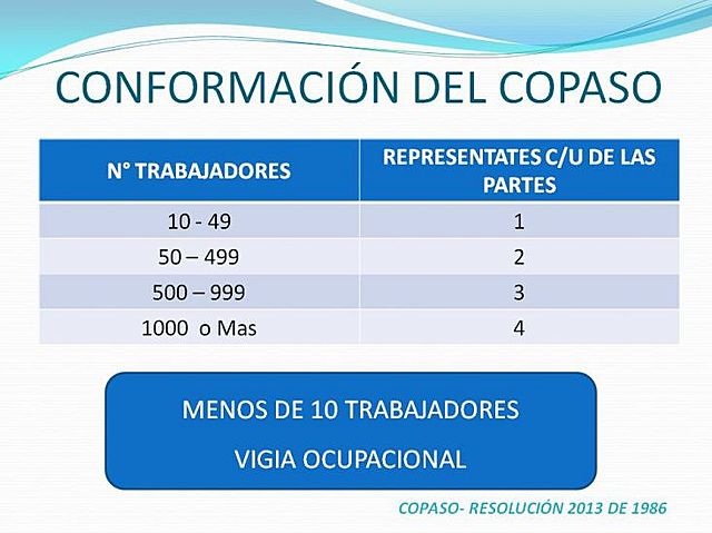 RESOLUCIÓN 2013 COPASO