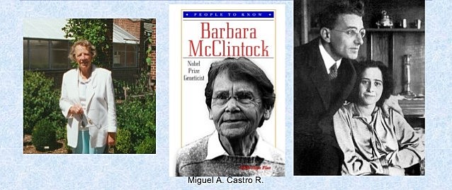 Harriet Creighton, Barbara McClintock y Gunter Stern