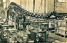 Primer museo de historia natural