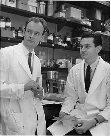 Marshall Nirenberg y Har Gobind Khorana