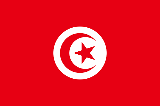 Inspirasjonen for andre land.