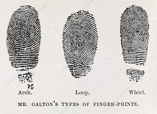Francis Galton