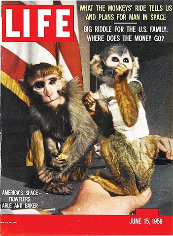 First creatures to return alive from space