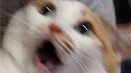 Timeline: VIDA ACADÈMICA Y MI VIDA PERSONAL