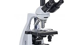 Timeline: La meva Carrera