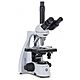Microscopi contrast fases bscope bs 1153 pplphi triocular 100x 1000x