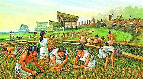 Agricultural Age