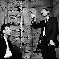 James Watson y Francis Crick