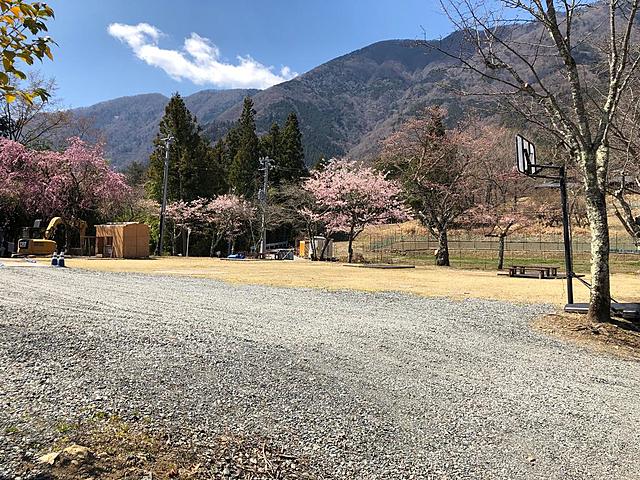 1 maggio 1274 - Trasferimento sul monte Minobu