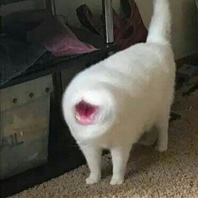 Timeline: Holocaust Timeline