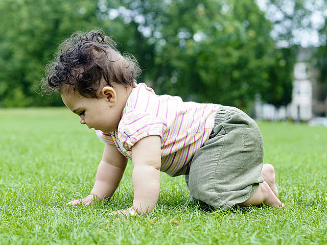 Baby can crawl and squat while holding onto things.