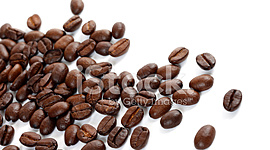 Timeline: Germinação da planta do café