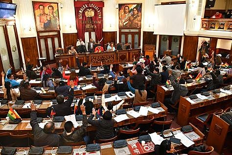 El MAS en el Legislativo sanciona Ley de Cumplimiento de DDHH y espera su promulgación