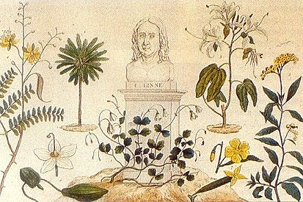 SABIOS DE LA EXPEDICIÓN BOTÁNICA