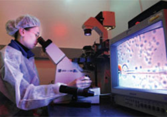 Embryonic Stem Cells Isolated