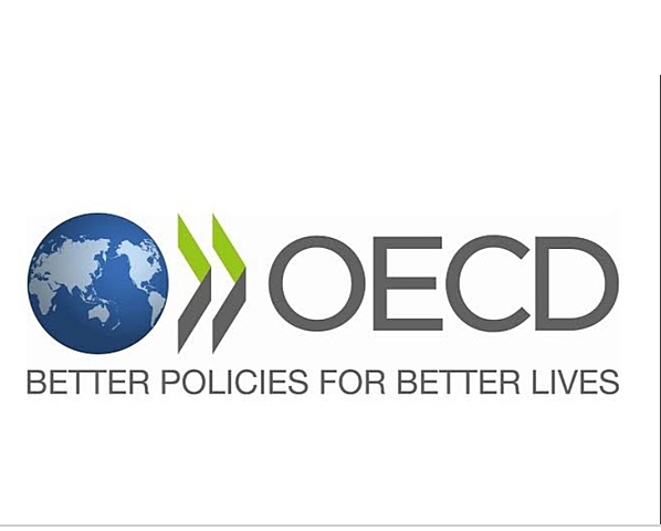 "Directrices relativas a la proteccion de la privacidad y flujos transfronterizos de datos personales"