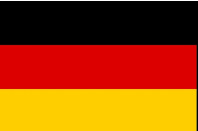 Sentencia del Tribunal Constitucional Federal