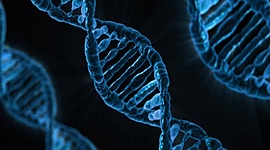 Timeline: Historia de la genética (200710725)