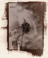 Impresion En Papel Salado