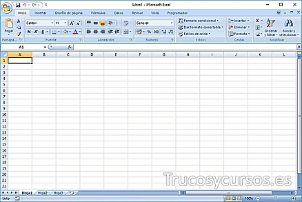 MICROSOFT EXCEL 12.0