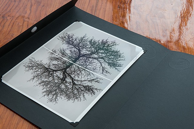 Imagen De Impresion Cromogena