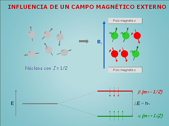 MIGUEL ANTONIO CATALÁN.