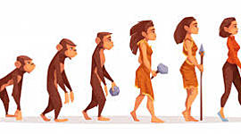 Timeline: HISTORIA DE LA EVOLUCIÓN