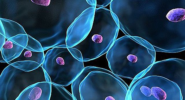 REPROGRAMACIÓN CELULAR.