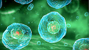 GENERACIÓN ESPONTÁNEA