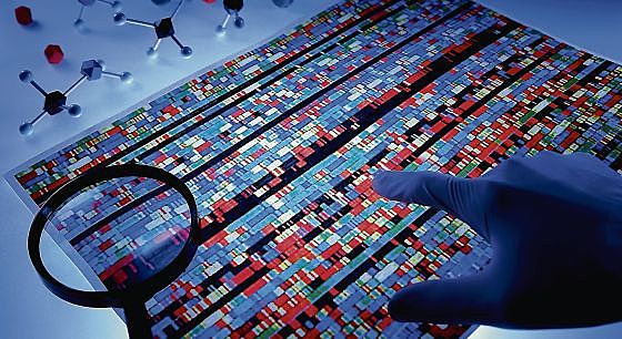 Proyecto Genoma Humano