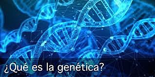 Redescubrimiento de los hallazgos de Mendel