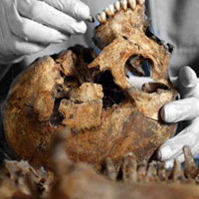 Timeline: Odontología Forense