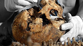 Timeline: Odontología Forense