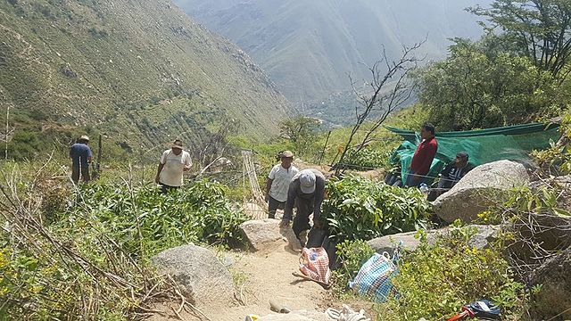 Limpieza de los platos