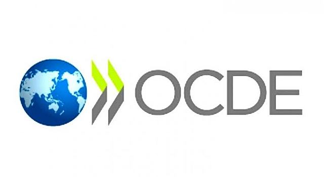 OCDE. Directrices sobre protección de la privacidad y flujos transfronterizos de datos personales