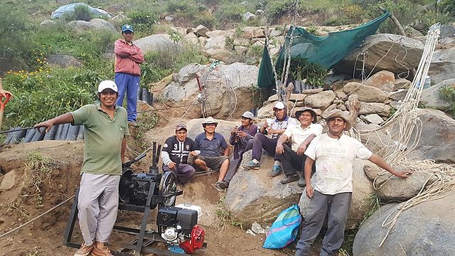 Limpieza de paltos II