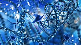 Timeline: Evolucion de la Genetica