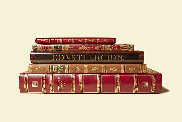 Nueva constitución(democrática)