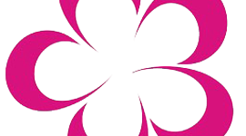 Timeline: FKOGA SERVIÇOS