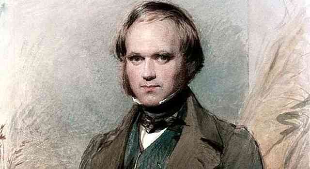 Nacimiento de Darwin