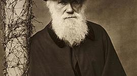 Timeline: Charles Darwin