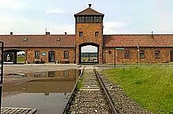 Auschwitz and Chelmno pt. 2