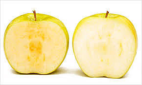 "Principios Inmediatos"