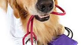 Timeline: The history of veterinarians